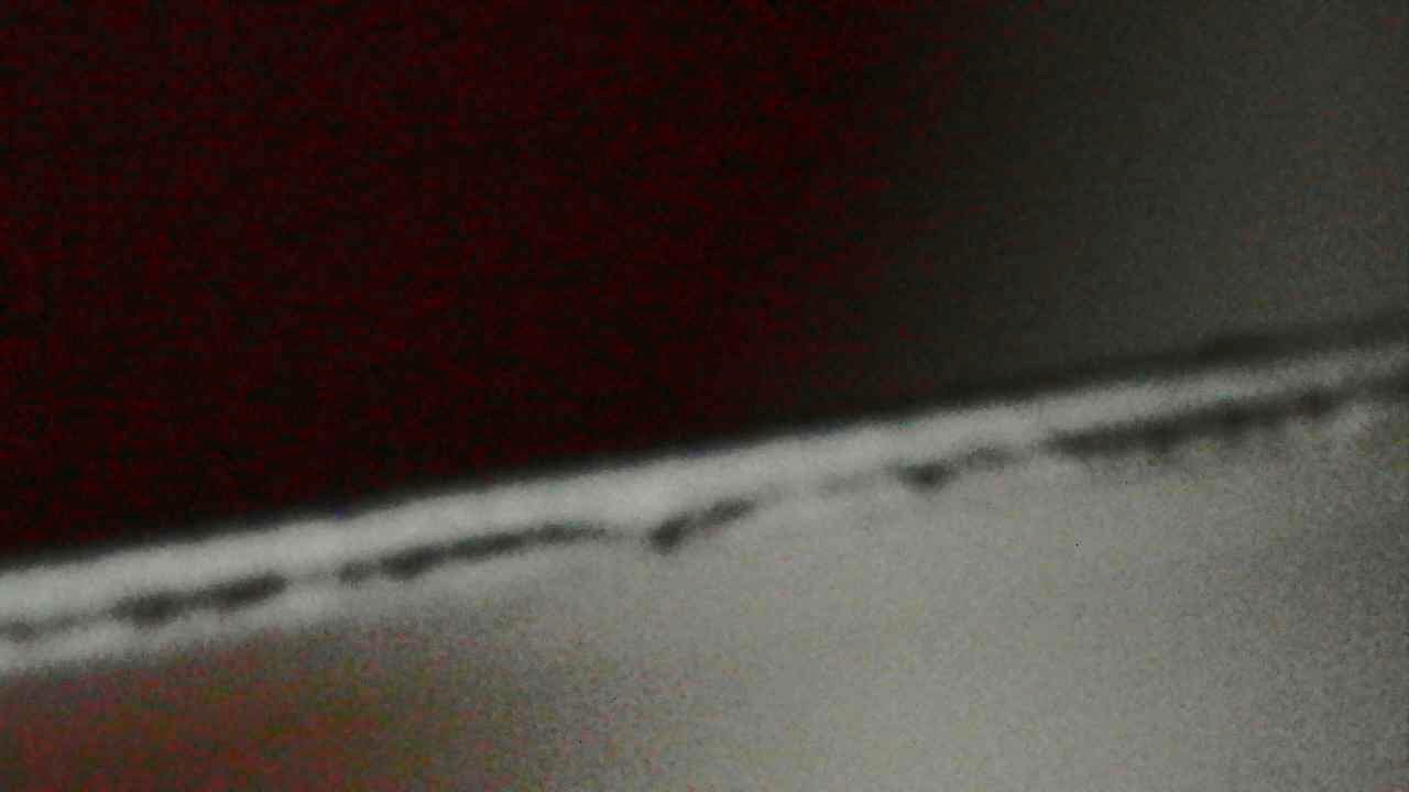 Núcleo negro del borde